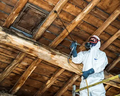 Traitement de charpente en bois par pulvérisation sur poutres intérieures d’une maison en Seine-et-Marne
